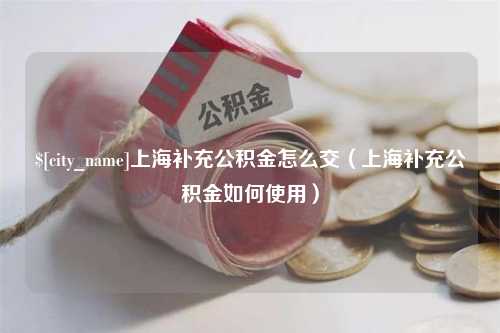 平湖上海补充公积金怎么交（上海补充公积金如何使用）